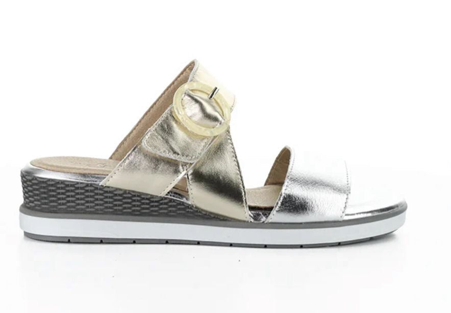 Asha Silver/Champagne Laminados GNE