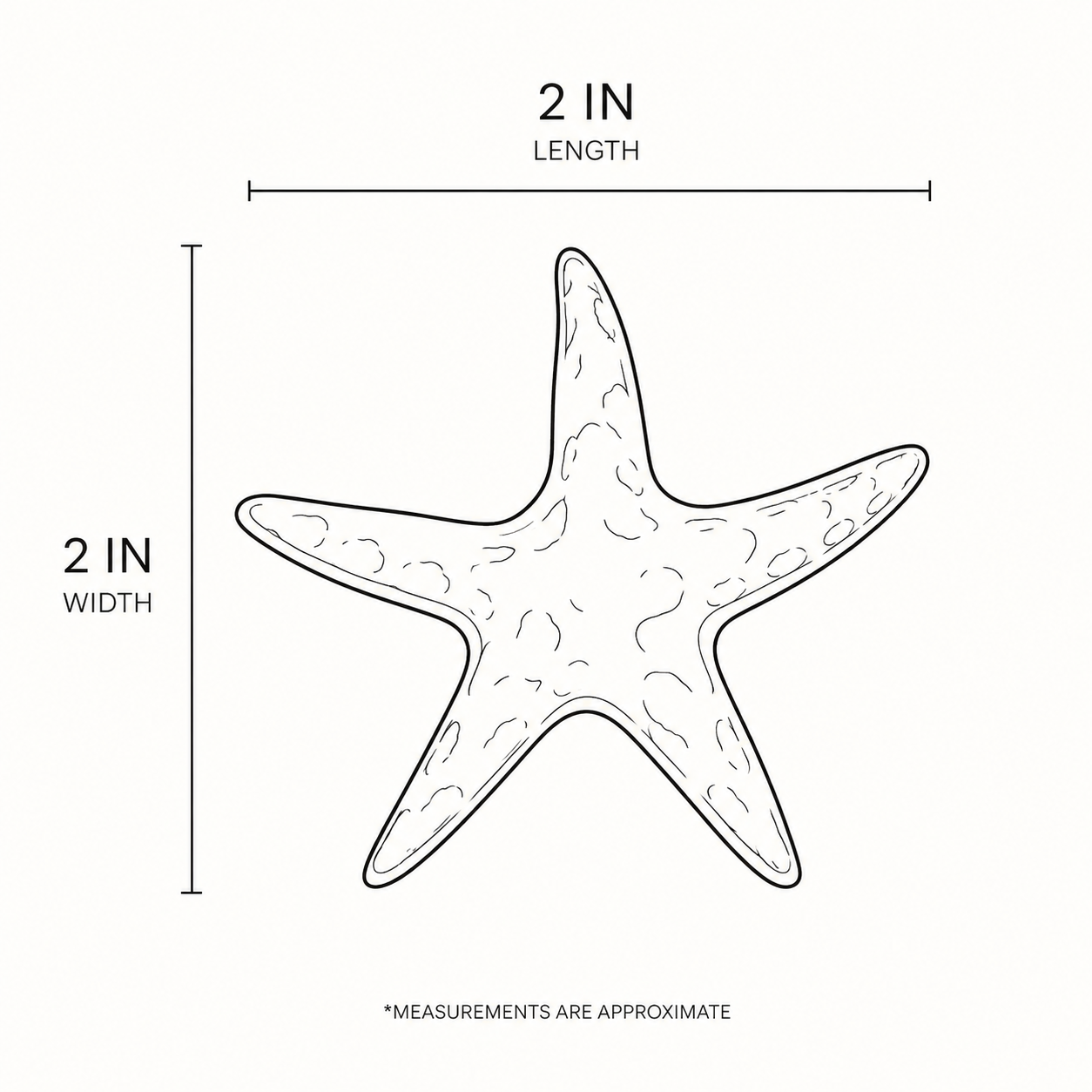 Coastal Starfish Statement Brooch