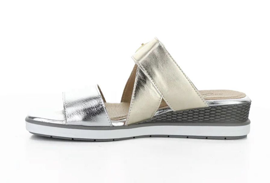 Asha Silver/Champagne Laminados GNE
