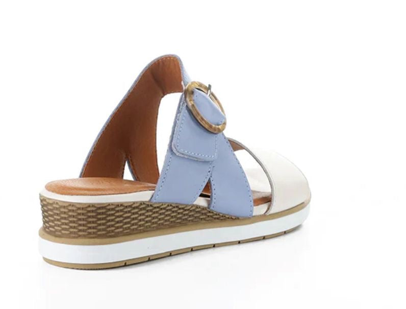 Asha Hielo/Iris Soft Analine