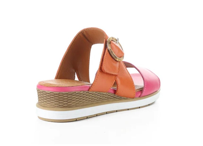 Asha Magnolia/Ara Soft Analine