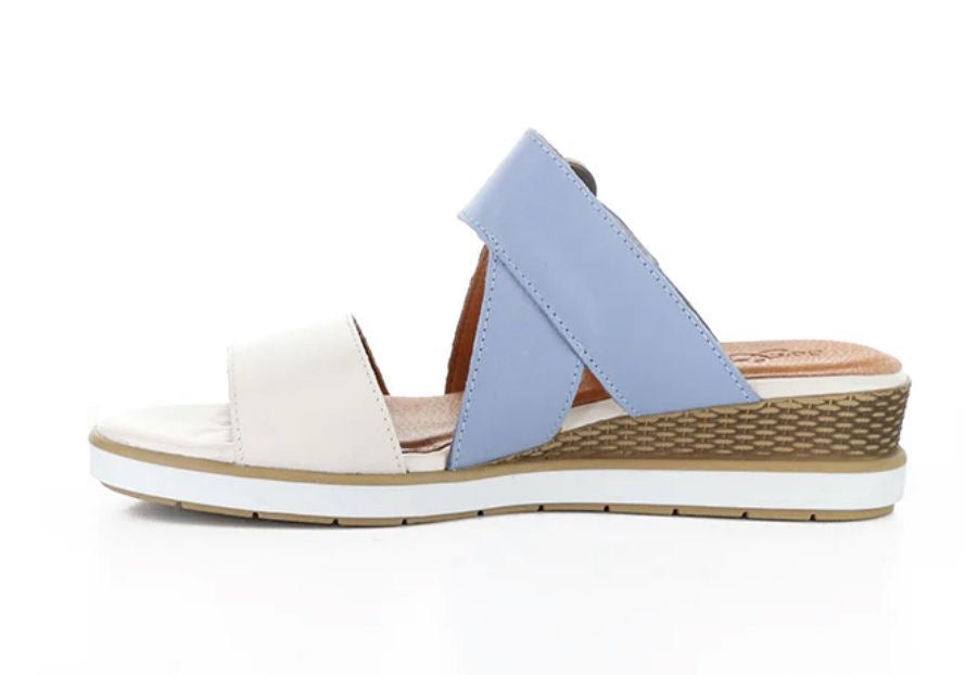 Asha Hielo/Iris Soft Analine