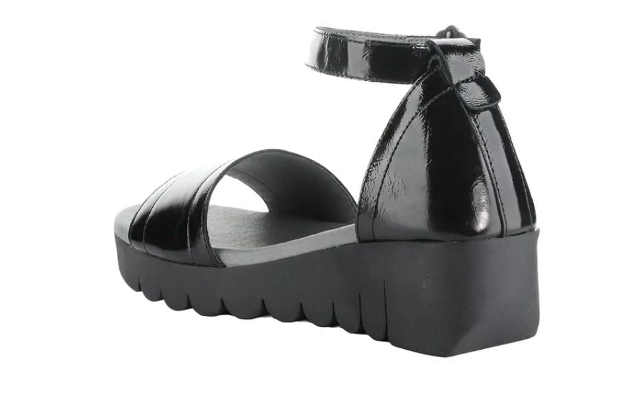 VOIK386FLY Black NAPPALAK