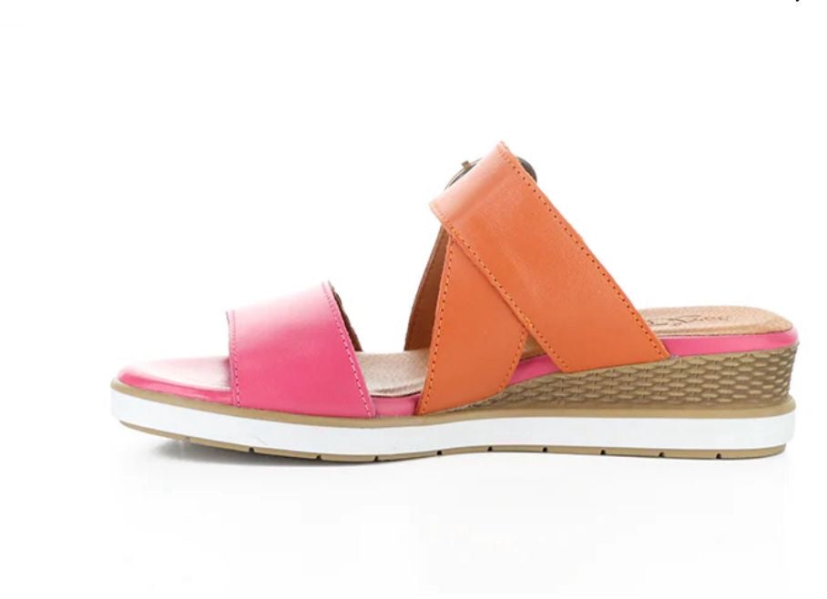 Asha Magnolia/Ara Soft Analine