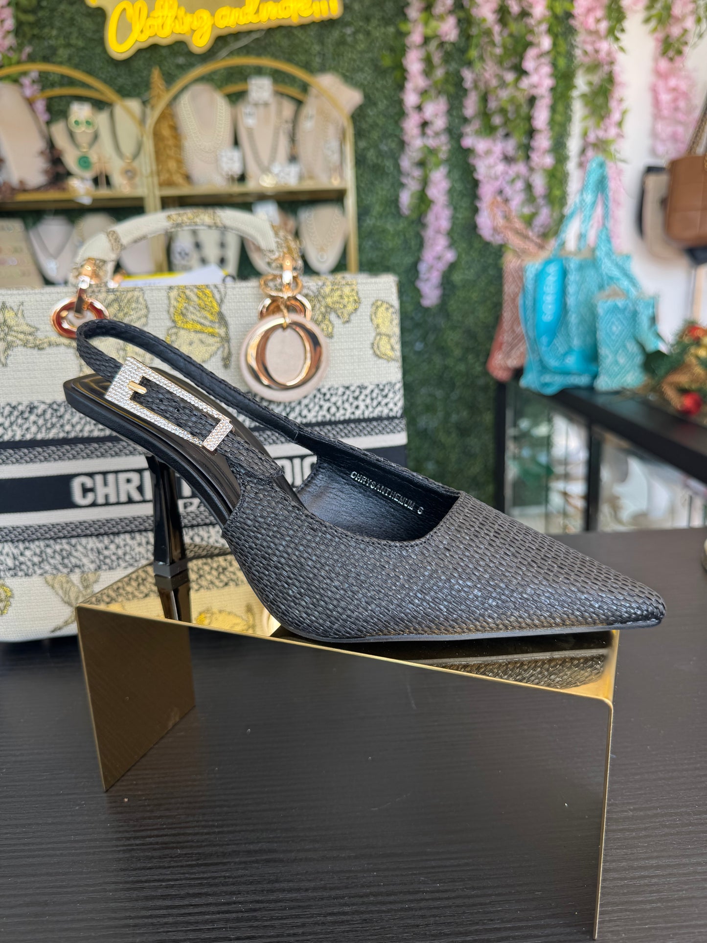 Bernes Chrysanthemums Shoe Black