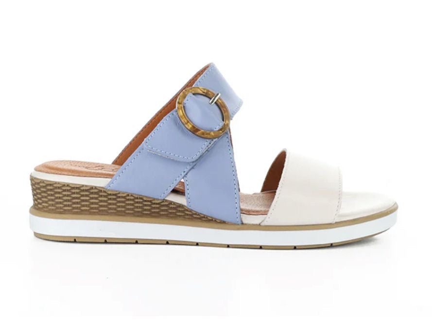 Asha Hielo/Iris Soft Analine