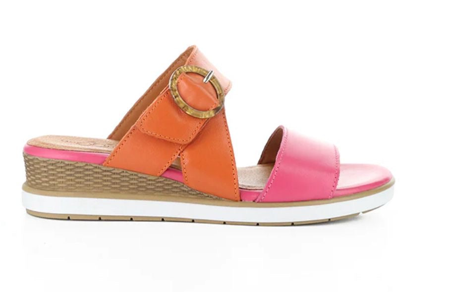 Asha Magnolia/Ara Soft Analine