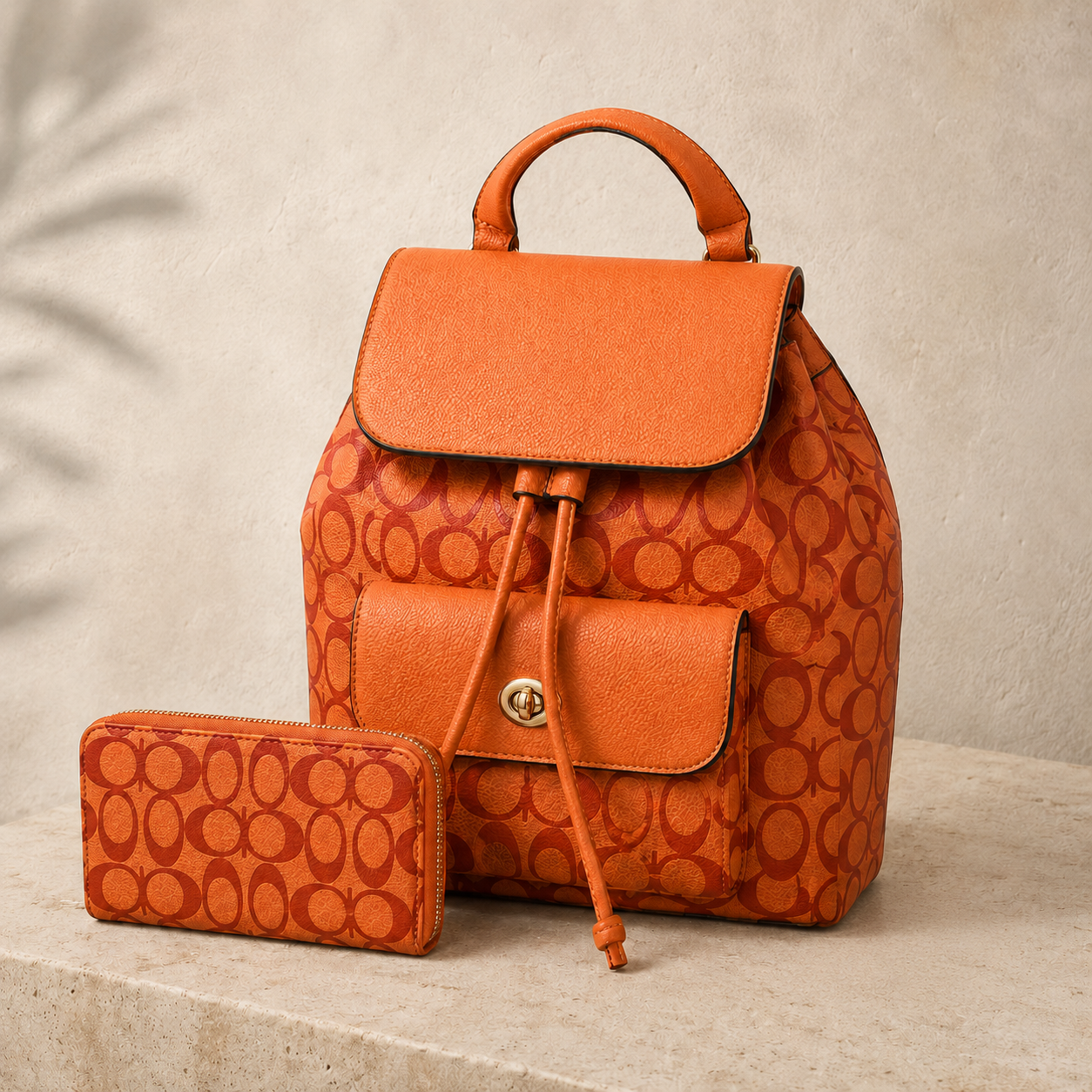 Inspired Coach Bag