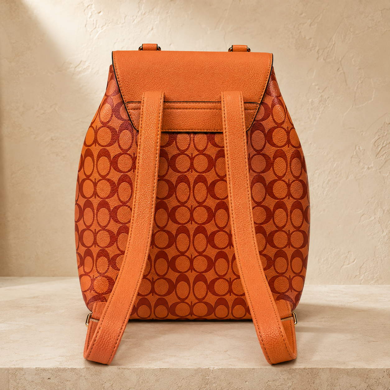 Inspired Coach Bag