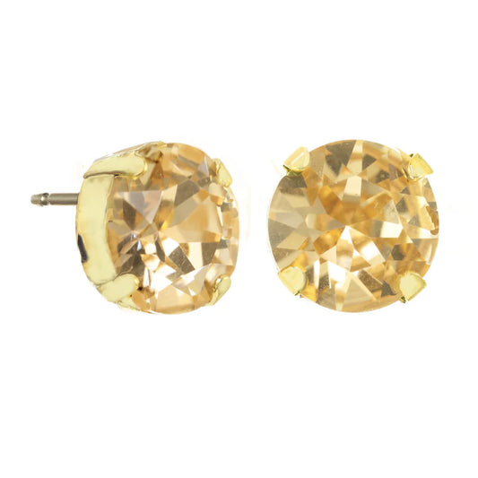 Trentley Stud in Champagne Tova